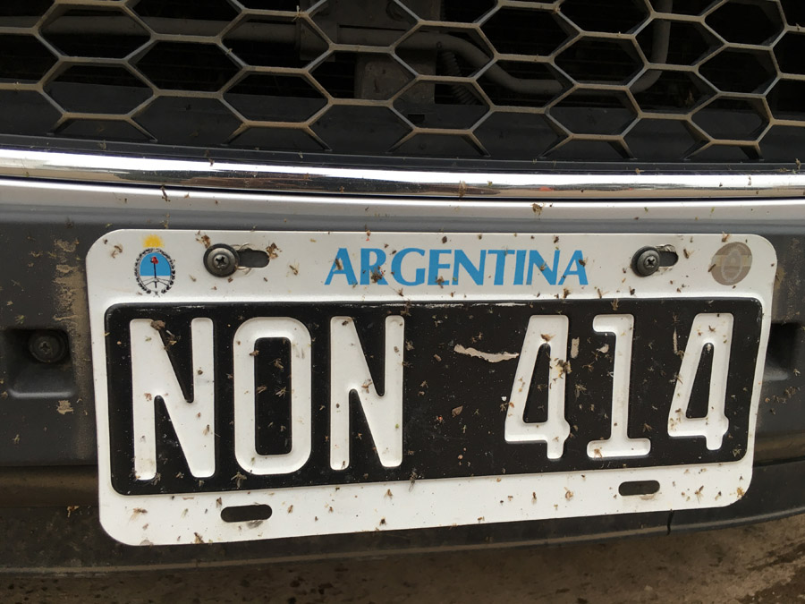 35-argentine