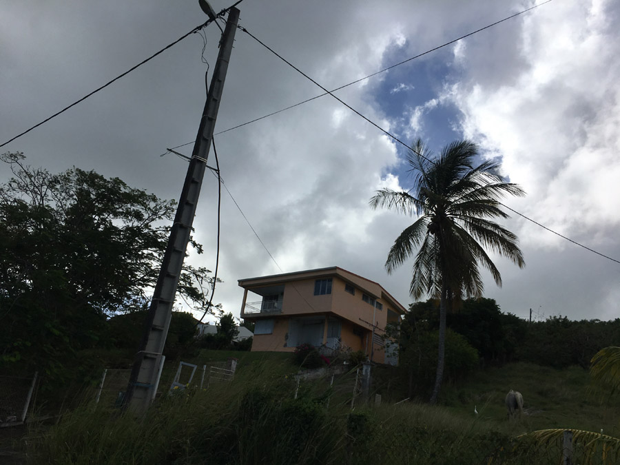 117 Martinique 2017
