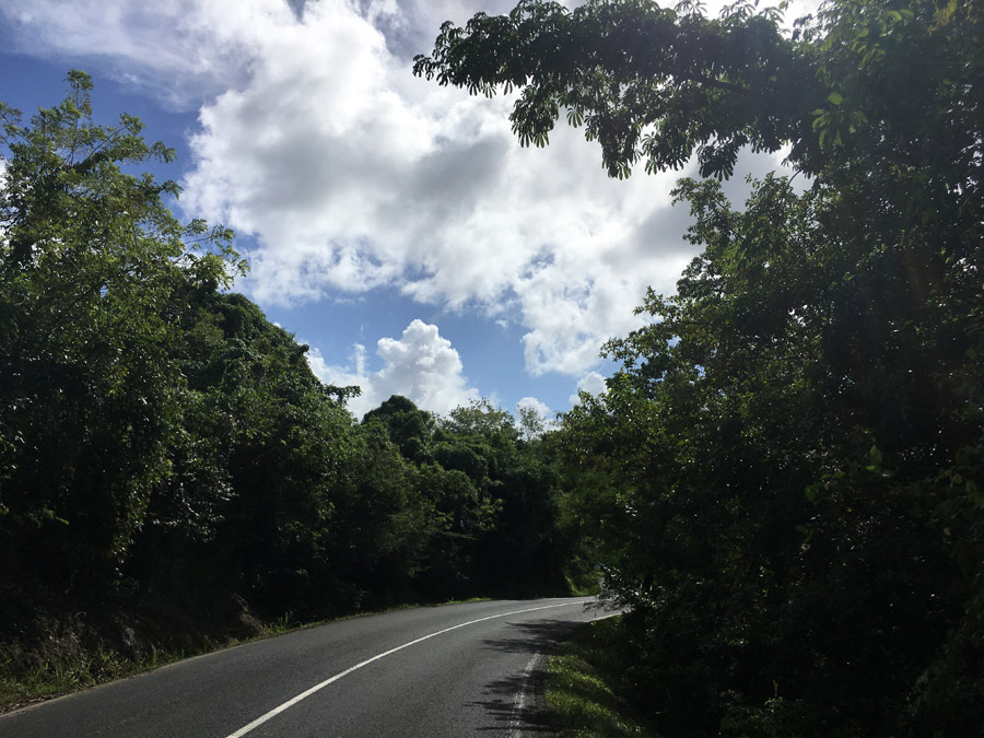 184 Martinique 2017