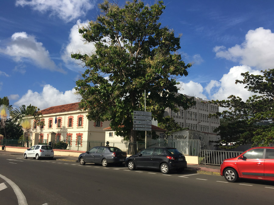 240 Martinique 2017