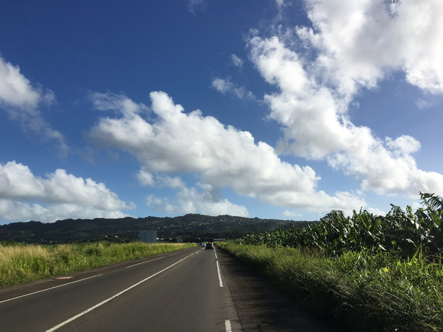 36 Martinique 2017