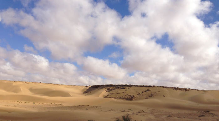 Sahara 168
