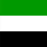 drapeau-emirats-arabes-unis