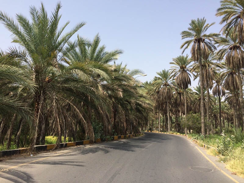 Oman 285