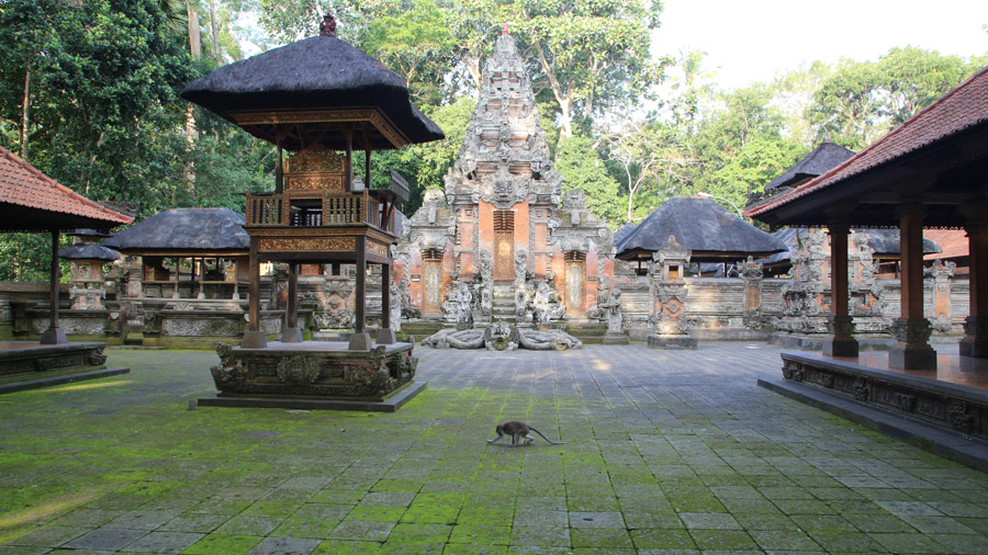 Bali 498