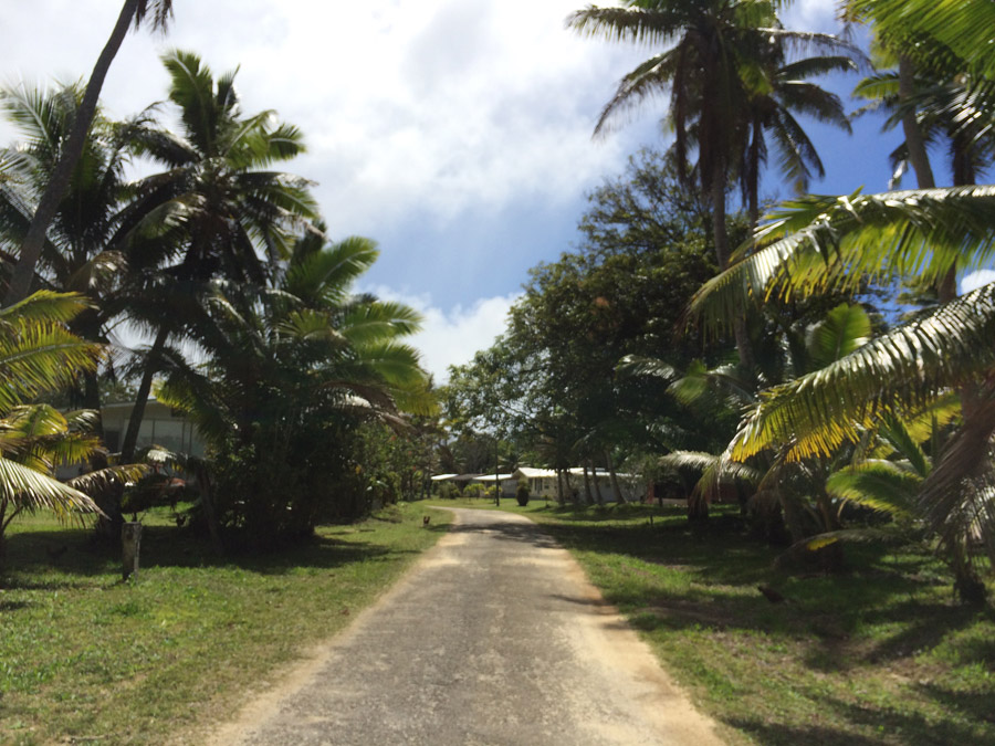 Niue 258