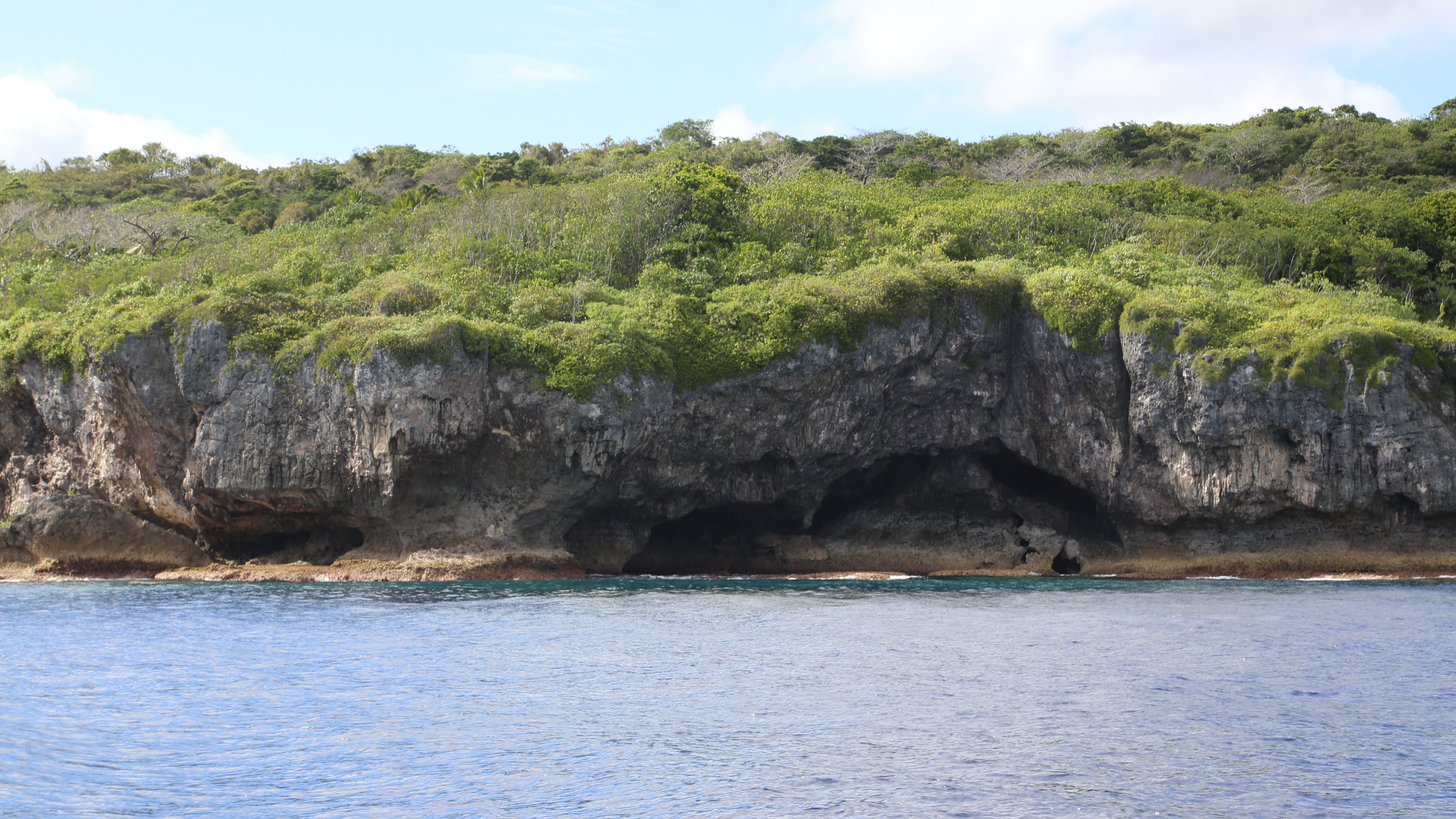 Niue 434
