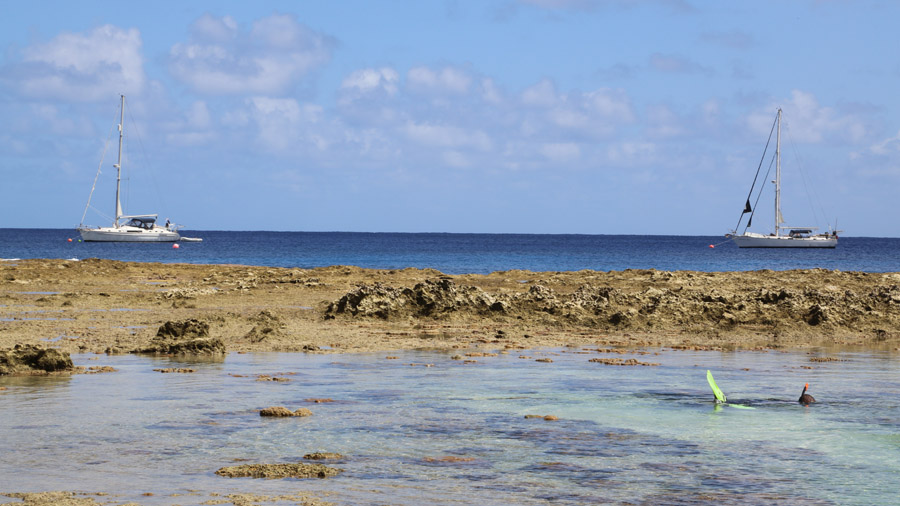 Niue 506
