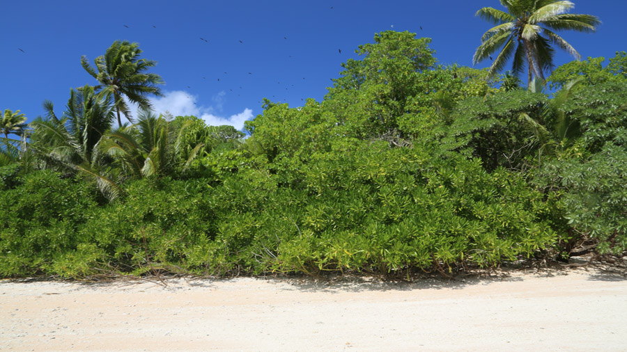 Tuvalu 335