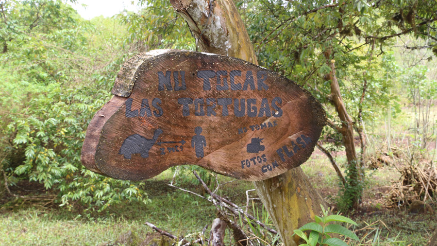 165-archipel-des-galapagos-santa-cruz