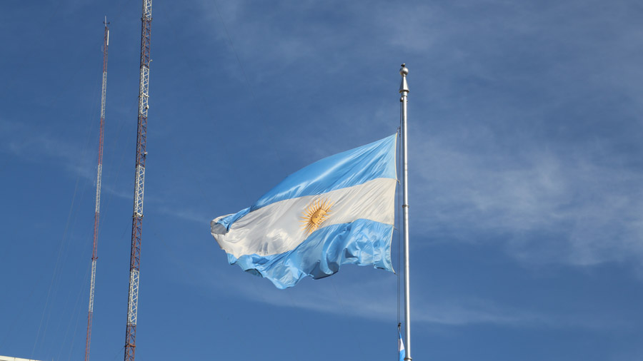 377-argentine