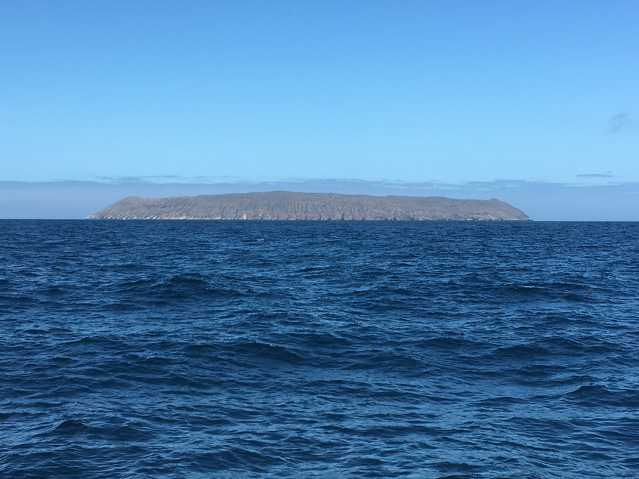20-archipel-des-galapagos-isabella