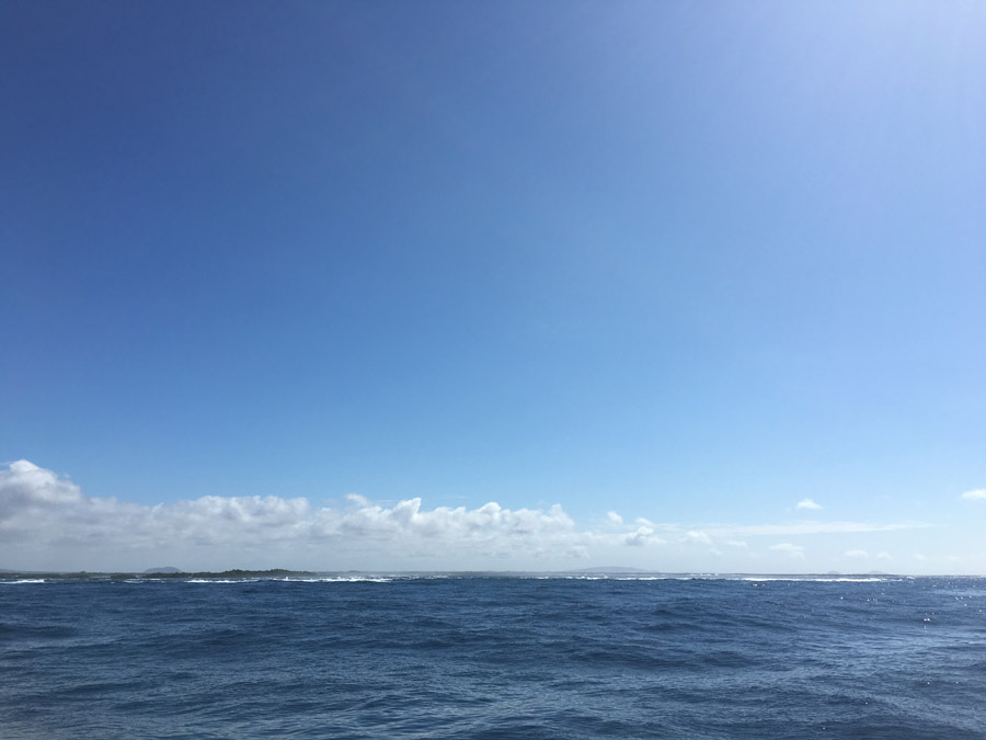 24-archipel-des-galapagos-isabella