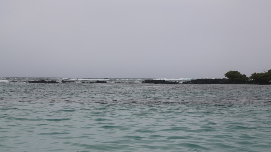 253-archipel-des-galapagos-isabella