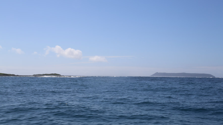 26-archipel-des-galapagos-isabella