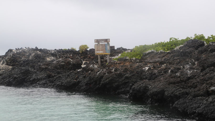 265-archipel-des-galapagos-isabella