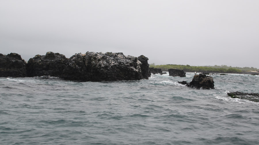 279-archipel-des-galapagos-isabella