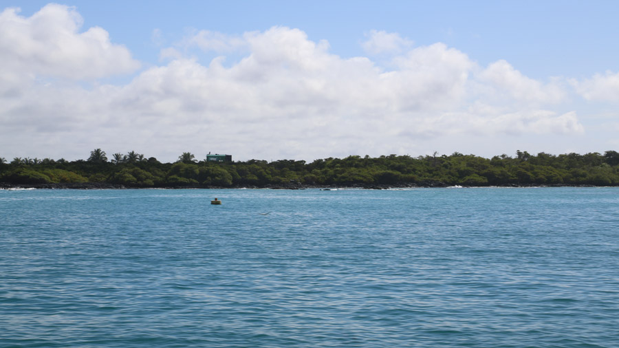 31-archipel-des-galapagos-isabella
