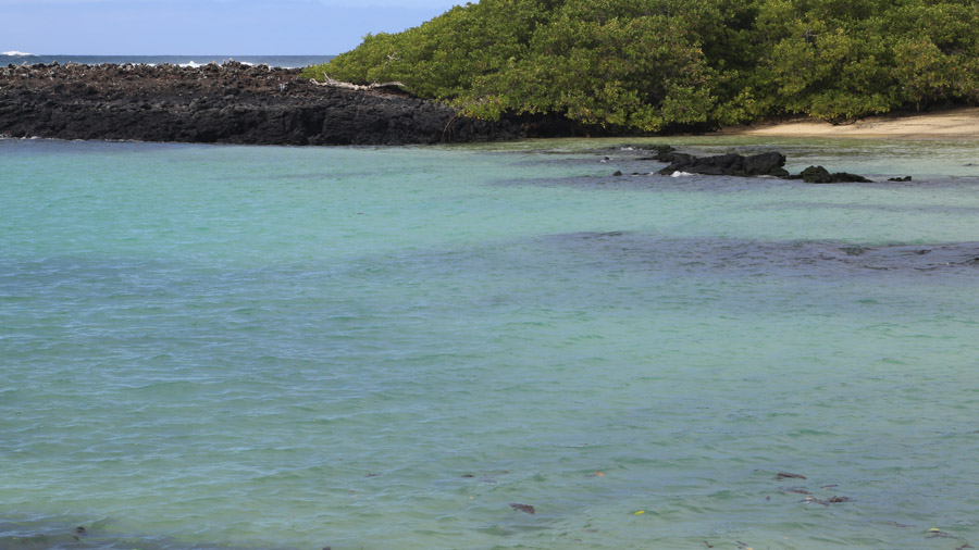 321-archipel-des-galapagos-isabella