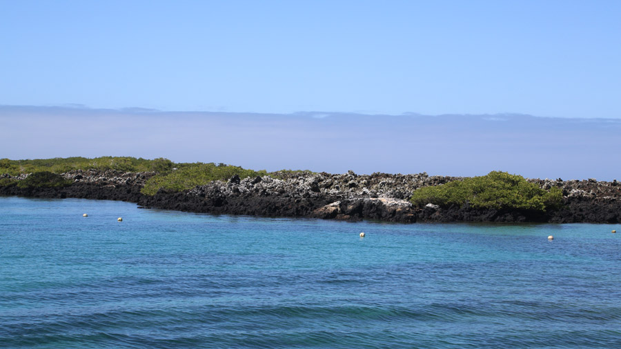 34-archipel-des-galapagos-isabella