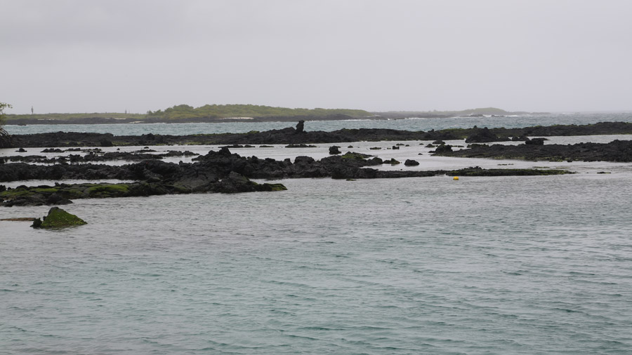 91-archipel-des-galapagos-isabella