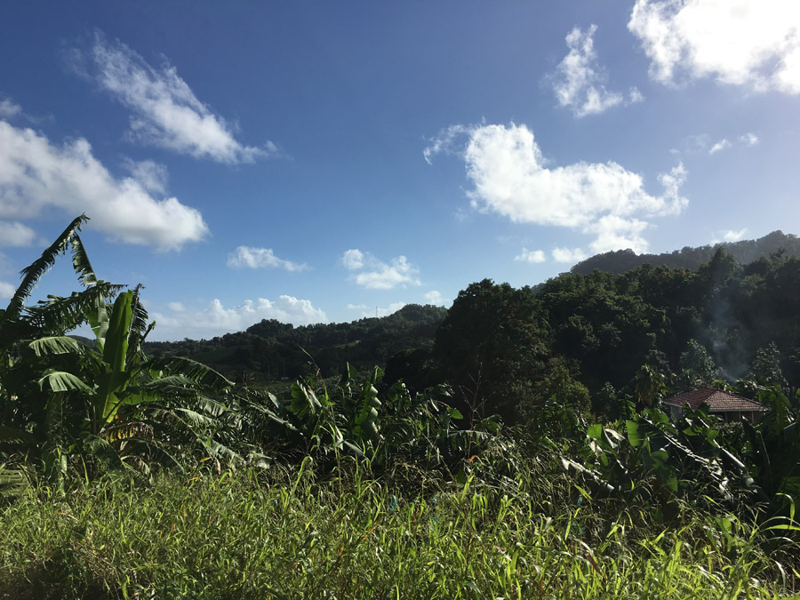 47 Martinique 2017