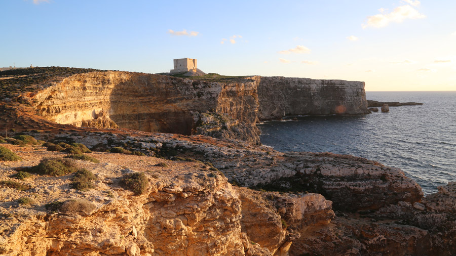 366 Malte Gozo