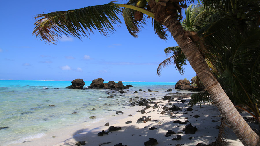 Iles Cook Aitutaki Plages et cocotiers