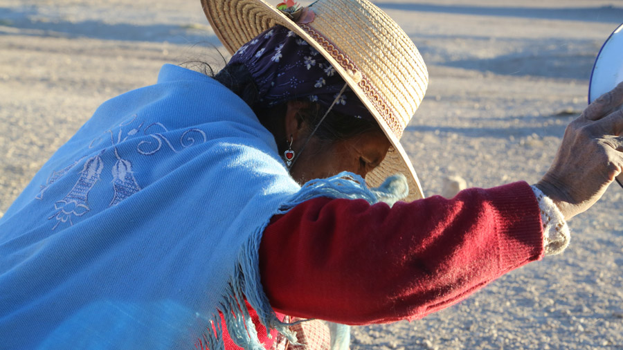 Bolivie Femme triant le Quinoa