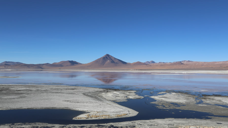 Bolivie Laguna Colorada