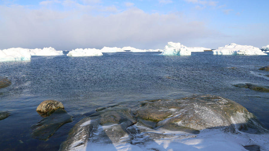 Groenland Ilulissat Icebergs