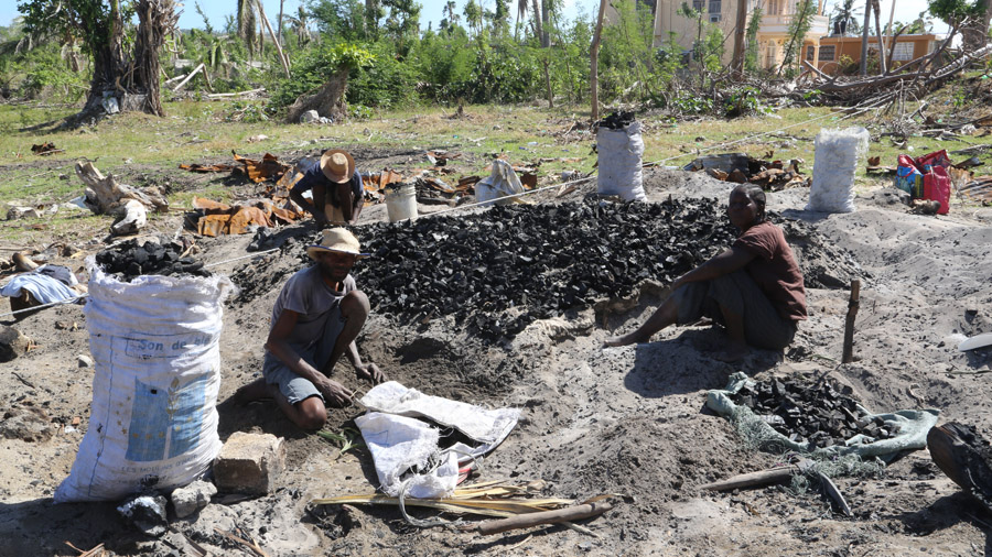 Haiti Fabriquant de charbon