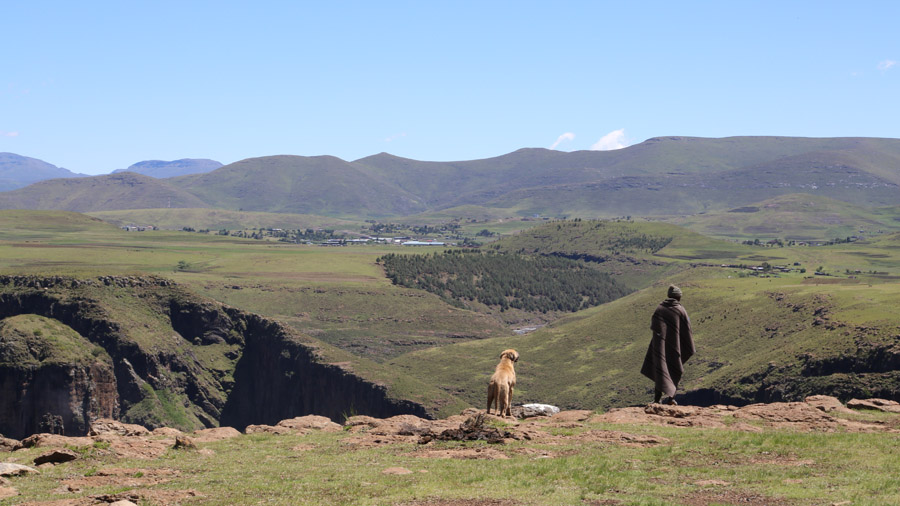 Lesotho Bergere et son chien