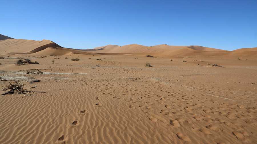 Namibie Desert