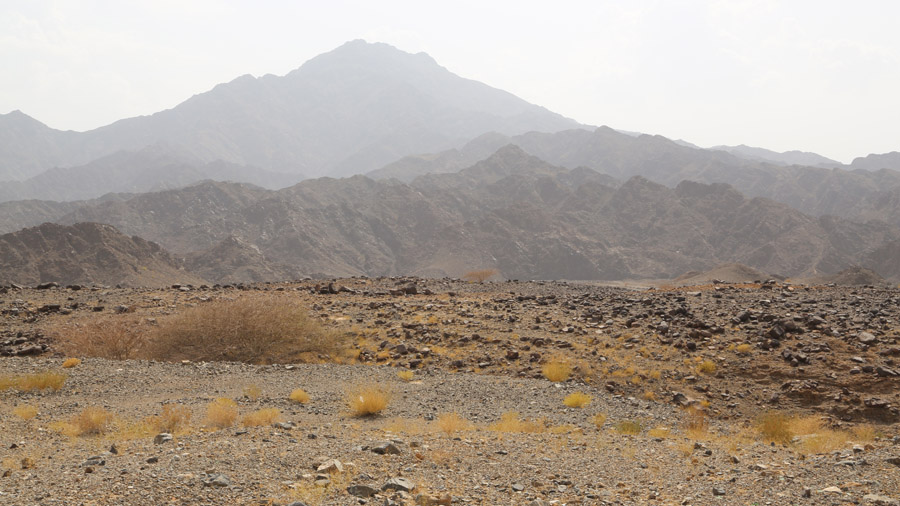 Oman Desert aride