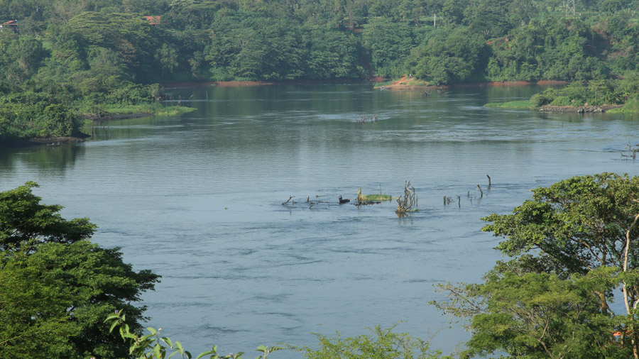 Ouganda Sources du Nil
