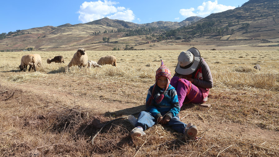 Perou Cuzco Enfants