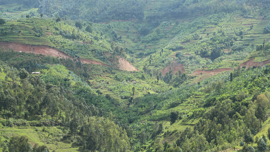 Rwanda Vallee