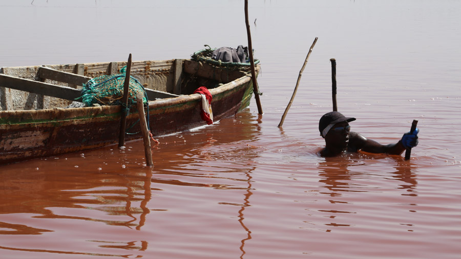 Senegal Lac rose Chercheur de sel