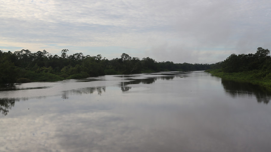 Suriname Fleuve
