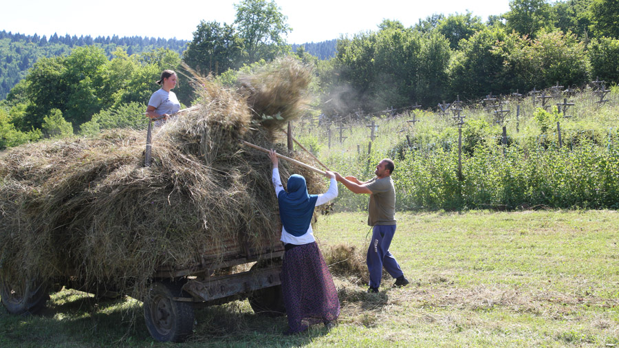 Bosnie Herzegovine Agriculteurs