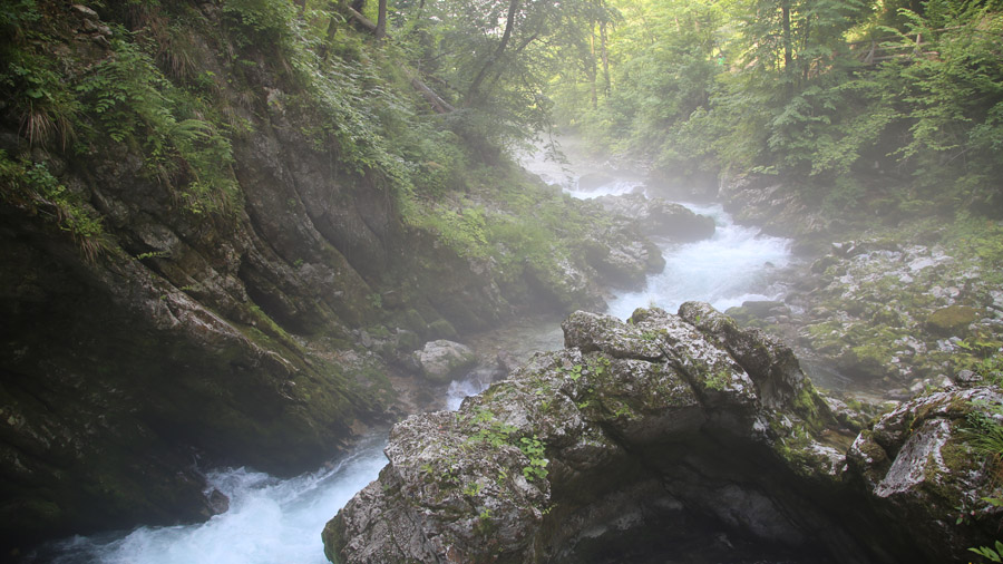 Slovenie Ruisseau