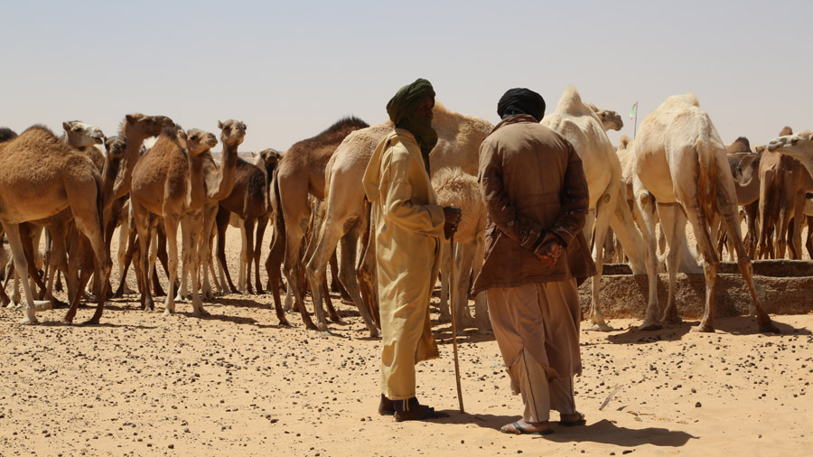 Mauritanie Eleveurs