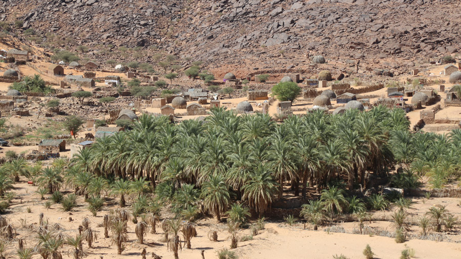 Mauritanie Adrar Oasis Mheirth