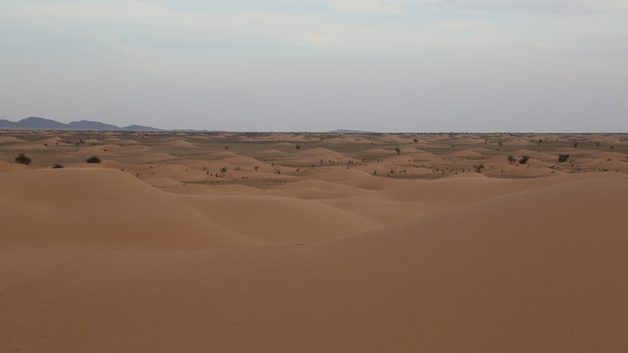 750 mauritanie