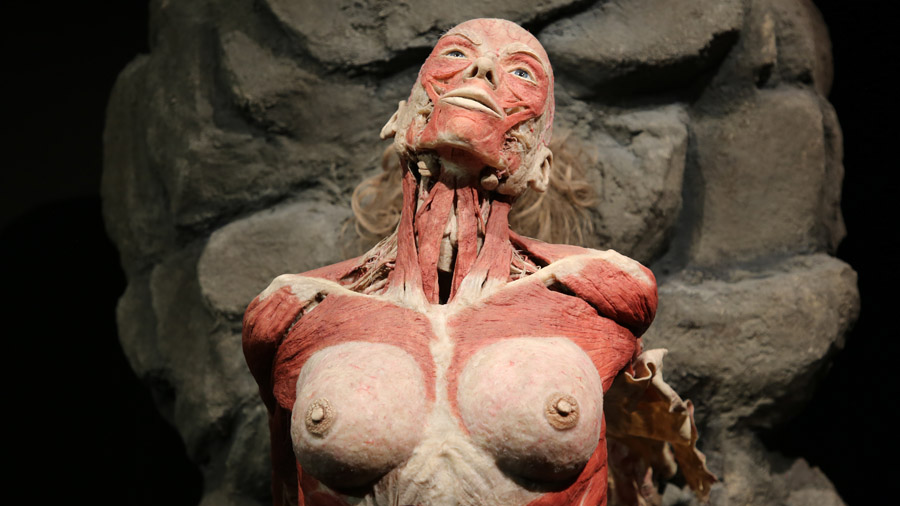 Pays Bas Amsterdam Femme exposee Body world