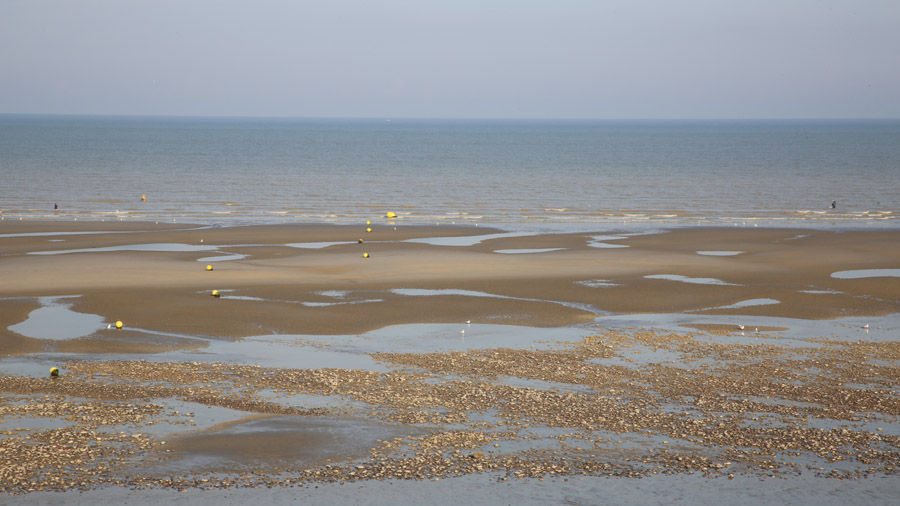 38 France Somme Baie de Somme