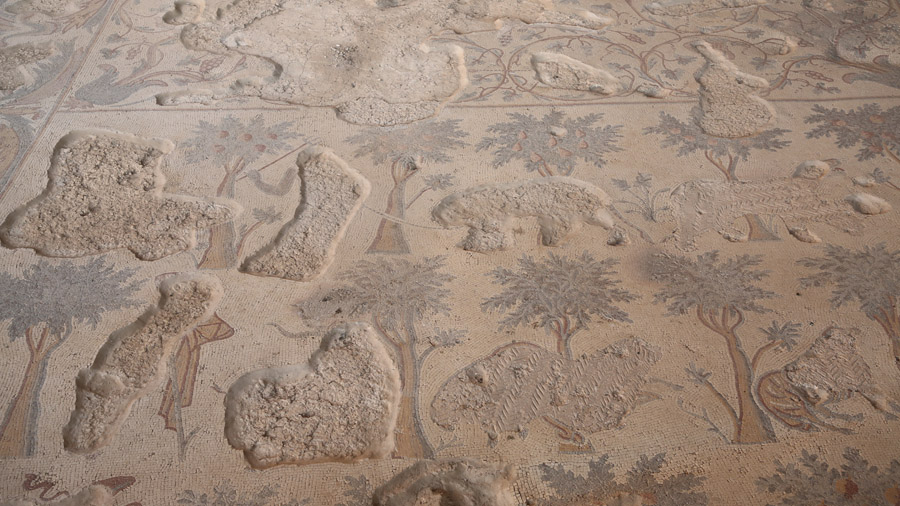 Jordanie Madaba Archeological park Mosaiques