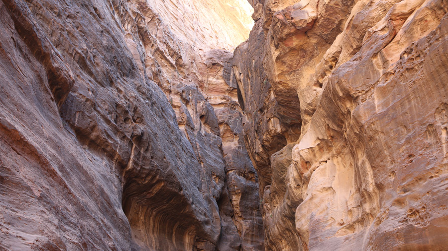 Jordanie Petra Canyon