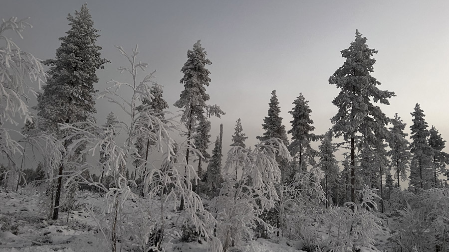 Finlande Paysage avec neige